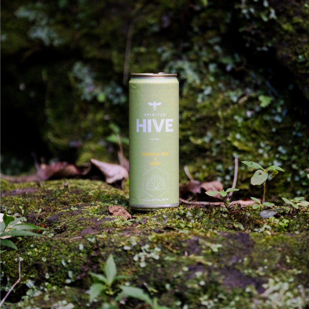 about-the-hive-spirited-hive